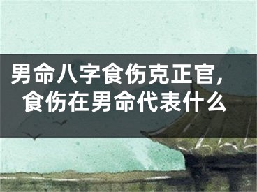 男命八字食伤克正官,食伤在男命代表什么