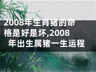 2008年生肖猪的命格是好是坏,2008年出生属猪一生运程