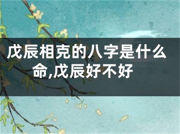 戊辰相克的八字是什么命,戊辰好不好