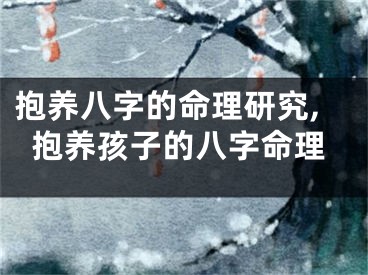 抱养八字的命理研究,抱养孩子的八字命理