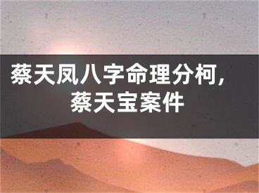 蔡天凤八字命理分柯,蔡天宝案件