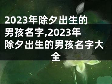 2023年除夕出生的男孩名字,2023年除夕出生的男孩名字大全