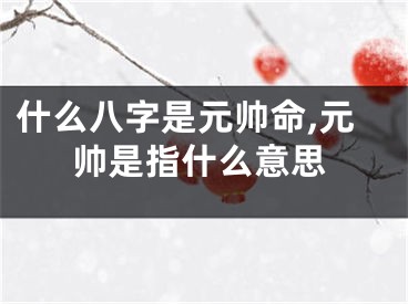 什么八字是元帅命,元帅是指什么意思