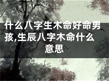 什么八字生木命好命男孩,生辰八字木命什么意思