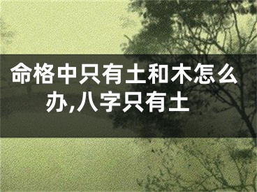命格中只有土和木怎么办,八字只有土