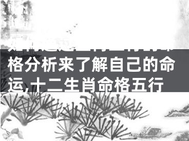如何通过生肖五行的命格分析来了解自己的命运,十二生肖命格五行