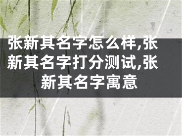 张新其名字怎么样,张新其名字打分测试,张新其名字寓意