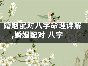 婚姻配对八字命理详解,婚姻配对 八字
