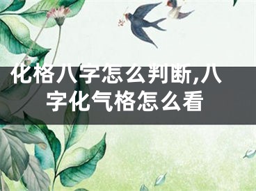 化格八字怎么判断,八字化气格怎么看