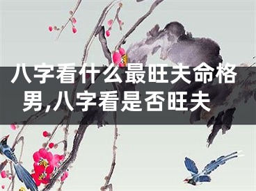八字看什么最旺夫命格男,八字看是否旺夫