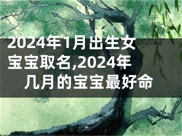 2024年1月出生女宝宝取名,2024年几月的宝宝最好命