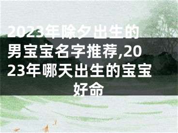 2023年除夕出生的男宝宝名字推荐,2023年哪天出生的宝宝好命