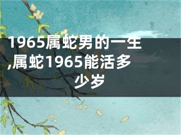 1965属蛇男的一生,属蛇1965能活多少岁