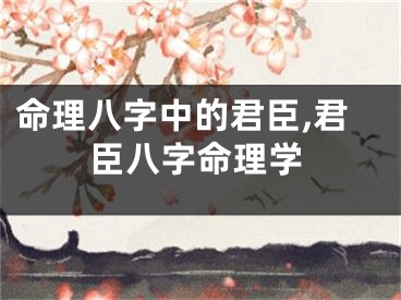 命理八字中的君臣,君臣八字命理学