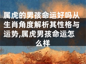 属虎的男孩命运好吗从生肖角度解析其性格与运势,属虎男孩命运怎么样