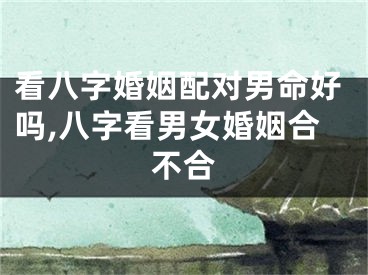 看八字婚姻配对男命好吗,八字看男女婚姻合不合
