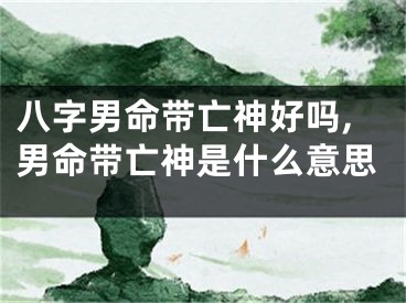八字男命带亡神好吗,男命带亡神是什么意思