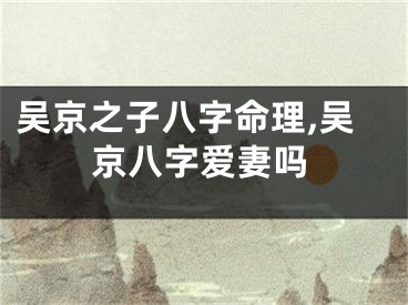 吴京之子八字命理,吴京八字爱妻吗