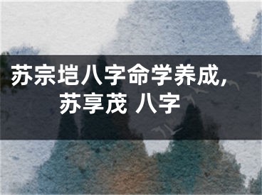 苏宗垲八字命学养成,苏享茂 八字
