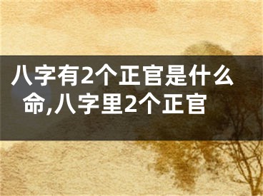八字有2个正官是什么命,八字里2个正官