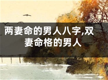 两妻命的男人八字,双妻命格的男人