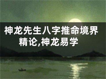 神龙先生八字推命境界精论,神龙易学