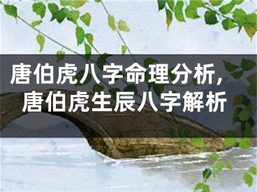 唐伯虎八字命理分析,唐伯虎生辰八字解析