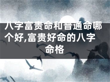 八字富贵命和普通命哪个好,富贵好命的八字命格