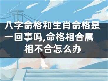 八字命格和生肖命格是一回事吗,命格相合属相不合怎么办