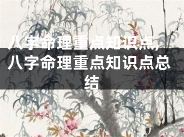 八字命理重点知识点,八字命理重点知识点总结