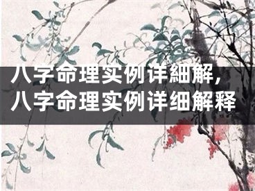 八字命理实例详細解,八字命理实例详细解释