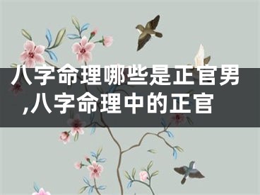 八字命理哪些是正官男,八字命理中的正官
