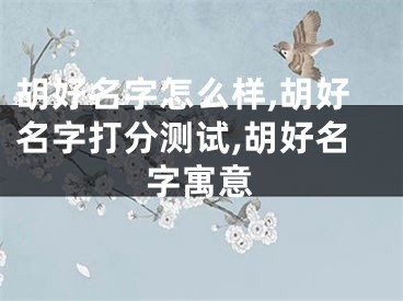 胡好名字怎么样,胡好名字打分测试,胡好名字寓意