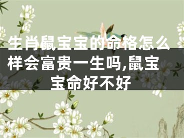 生肖鼠宝宝的命格怎么样会富贵一生吗,鼠宝宝命好不好