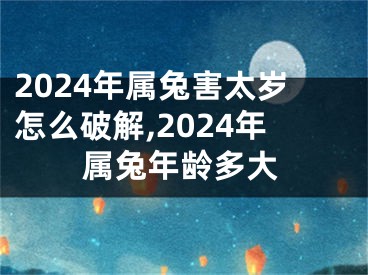 2024年属兔害太岁怎么破解,2024年属兔年龄多大