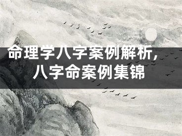 命理学八字案例解析,八字命案例集锦
