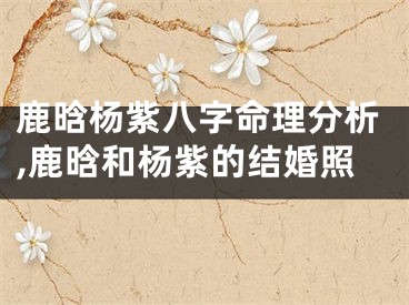 鹿晗杨紫八字命理分析,鹿晗和杨紫的结婚照