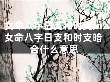 女命八字日支和时支,女命八字日支和时支暗合什么意思