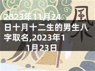 2023年11月24日十月十二生的男生八字取名,2023年11月23日