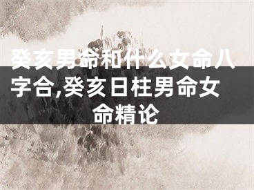 癸亥男命和什么女命八字合,癸亥日柱男命女命精论