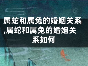 属蛇和属兔的婚姻关系,属蛇和属兔的婚姻关系如何