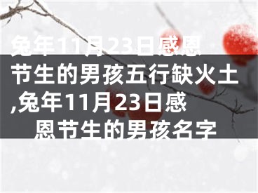 兔年11月23日感恩节生的男孩五行缺火土,兔年11月23日感恩节生的男孩名字