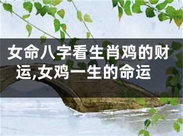 女命八字看生肖鸡的财运,女鸡一生的命运