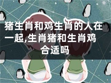 猪生肖和鸡生肖的人在一起,生肖猪和生肖鸡合适吗