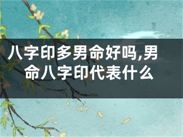 八字印多男命好吗,男命八字印代表什么