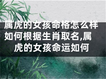 属虎的女孩命格怎么样如何根据生肖取名,属虎的女孩命运如何