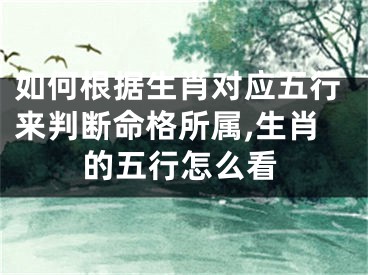 如何根据生肖对应五行来判断命格所属,生肖的五行怎么看