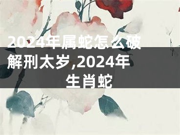 2024年属蛇怎么破解刑太岁,2024年生肖蛇