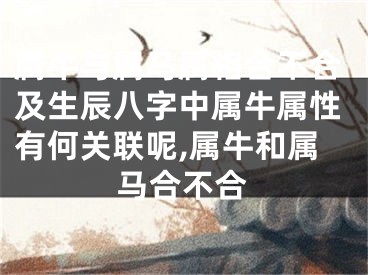 属牛与属马属相合不合及生辰八字中属牛属性有何关联呢,属牛和属马合不合