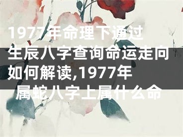 1977年命理下通过生辰八字查询命运走向如何解读,1977年属蛇八字上属什么命